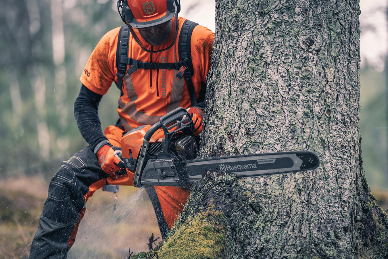 Zorg Tuin Verkoop -Zorg Tuin Verkoop 3